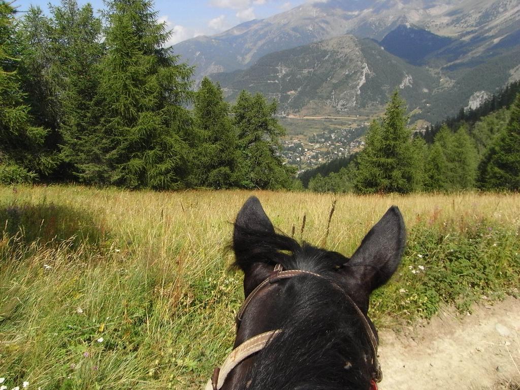 Gite Montagne Mercantour Villa Valdeblore Buitenkant foto